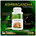 ASHWAGANDHA 90 CÁPSULAS + ENVÍO GRATIS 🌿🤩